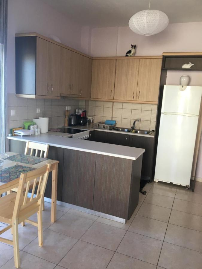 180 Degree Sea View Apartment Palaiochora Bagian luar foto